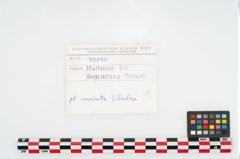 Foto von Keramikgefäß (NHMW-PRAE-078090)